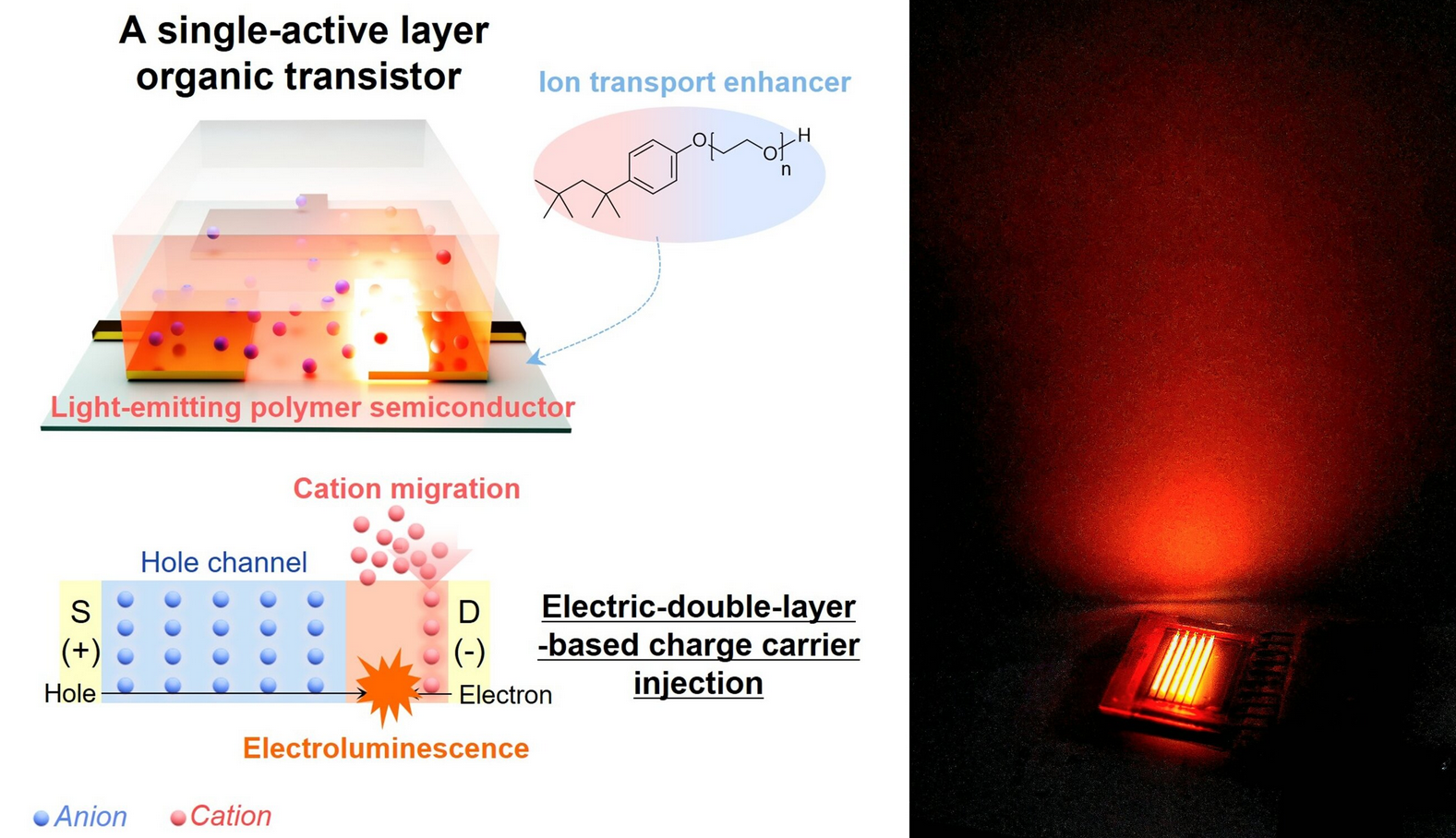 Industry News Organic transistor unites memory, signal processing and light emission below 3.5 V